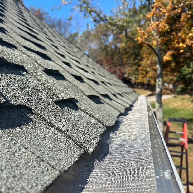 Images Window Hero Charlotte