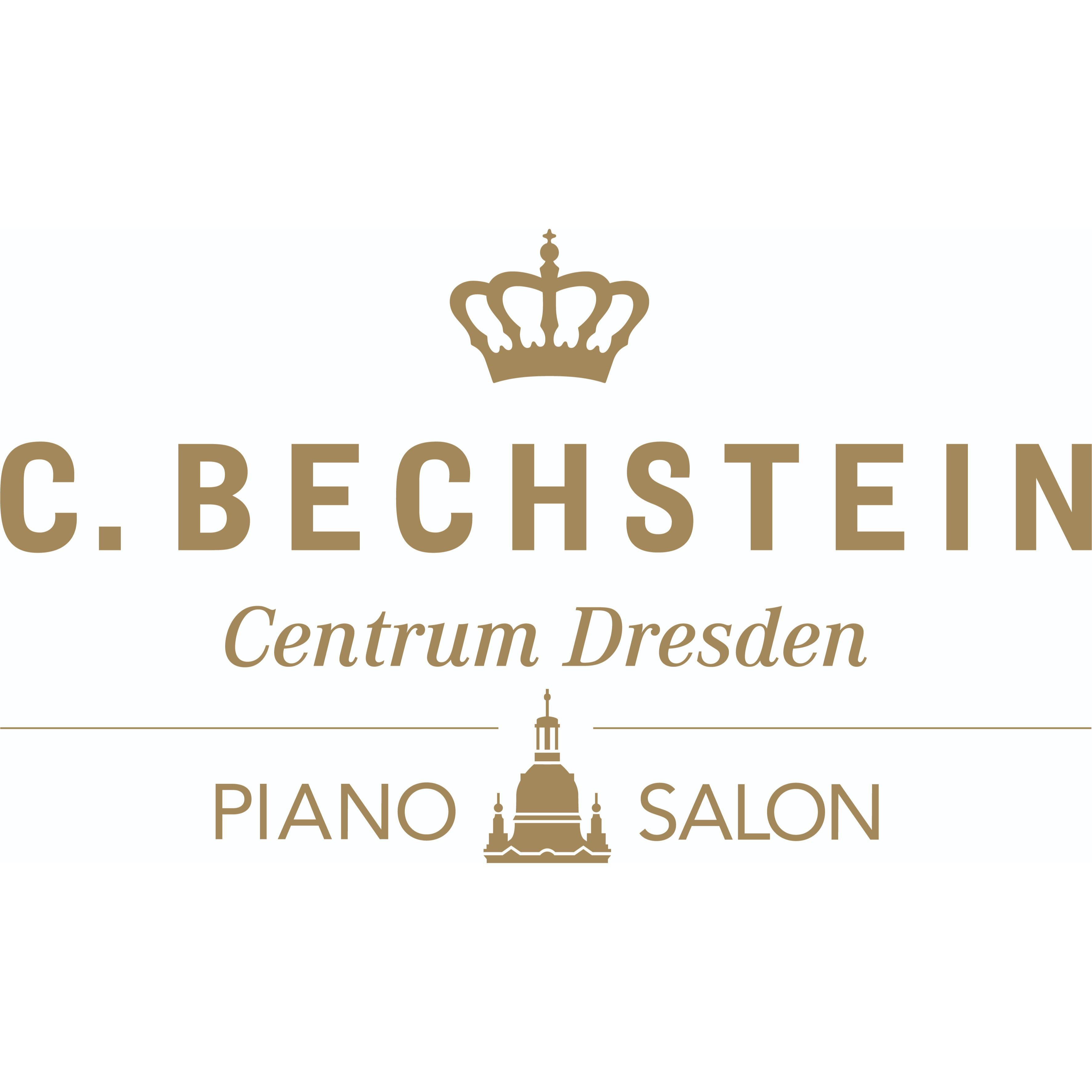 Logo Logo des C. Bechstein Centrum Dresden