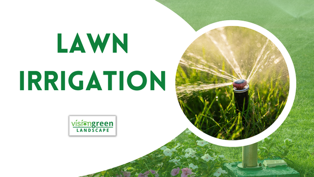 Images Vision Green Landscape