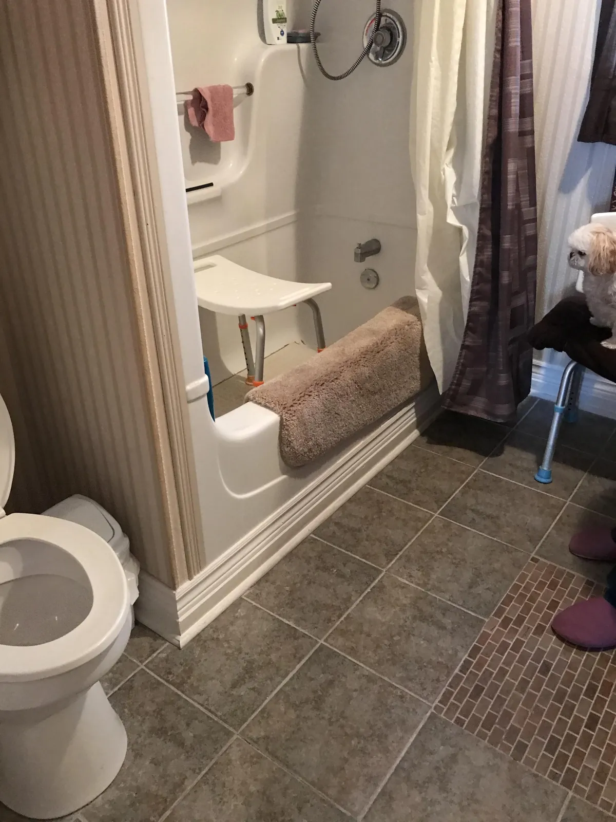 A bathroom with a toilet, bathtub with a shower seat, and a small dog sitting on a walker. The walls are lined with striped wallpaper and there are two shower curtains, one white and one patterned brown. The floor is tiled with a brown and gray pattern.