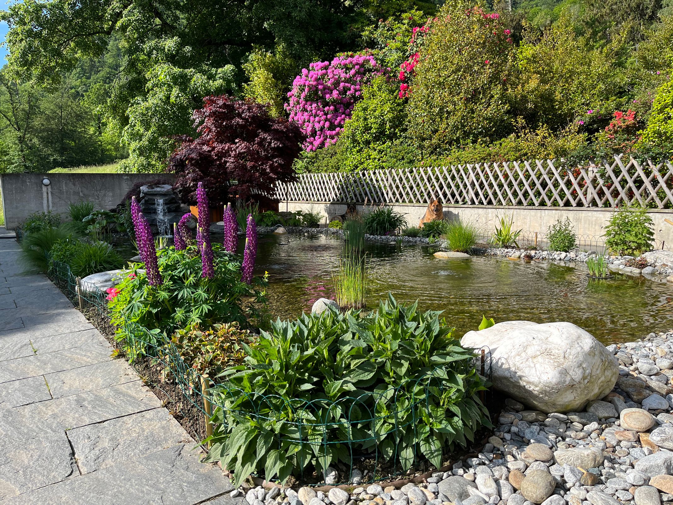 Bilder AQVA Irrigation & Outdoor Lighting Solutions