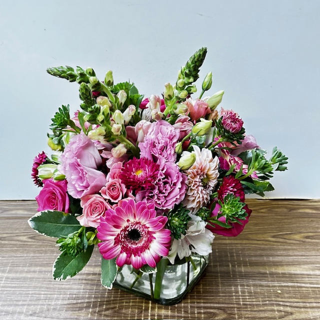 Images Jane's Roses & Flowers