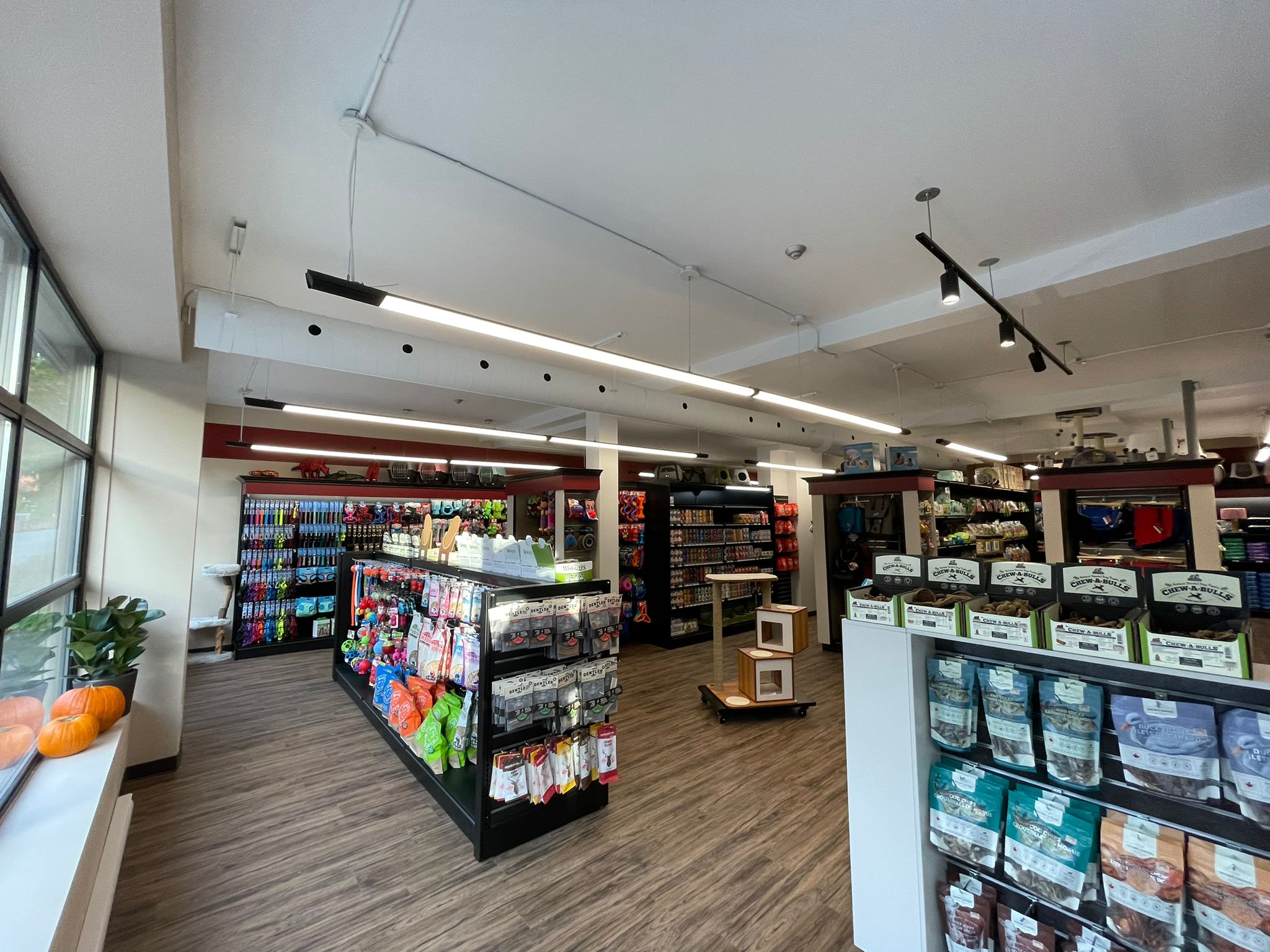 Images Pitou Minou & Compagnons Westmount