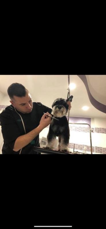 Images Pet Fashion - Toelettatura Professionale