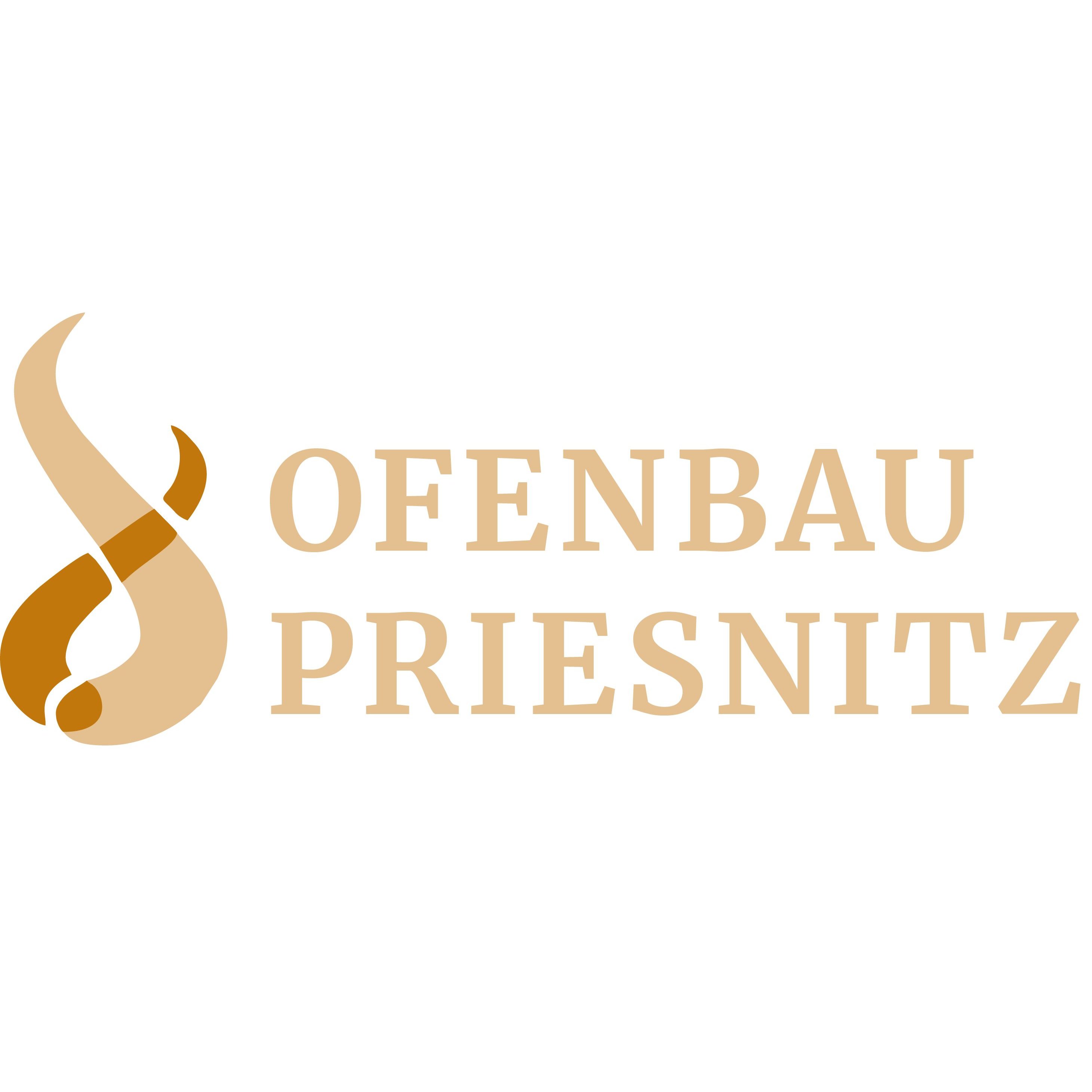 Ofenbau Priesnitz in Tanna