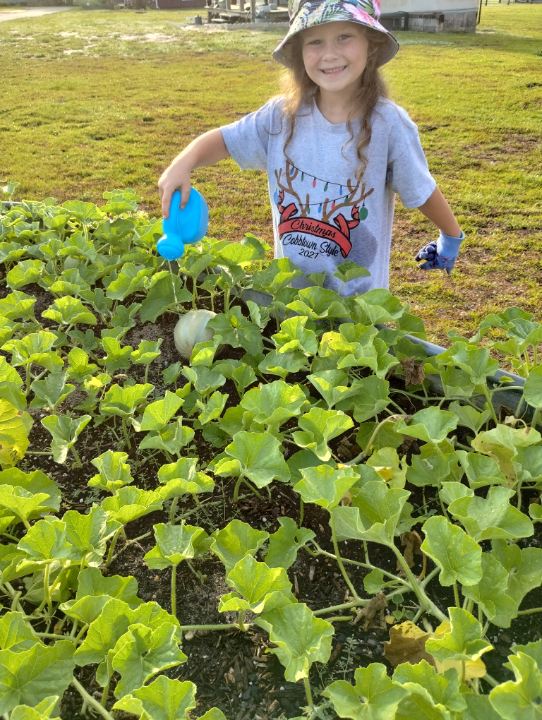 Little Folks Farm & Childcare Image