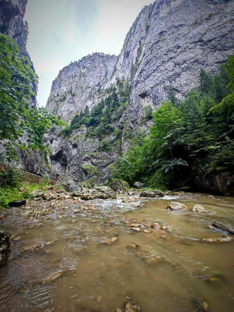 Fratello Tours in Nürnberg