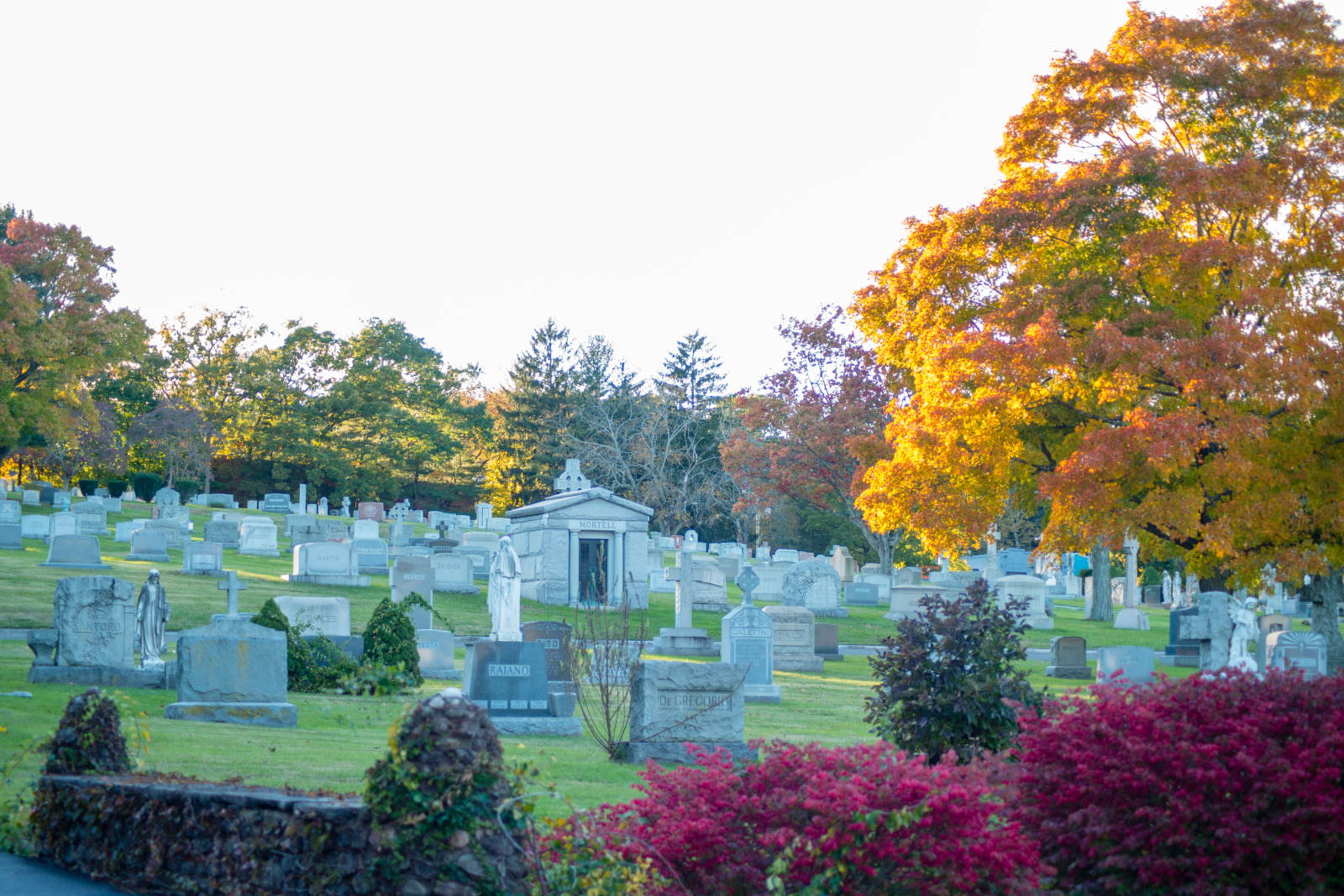 Exterior Photo of Saint Lawrence Cemetery
280 Derby Ave
West Haven, CT 06516