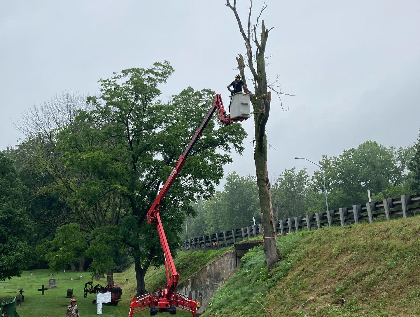 Friendly Tree Service Inc Image