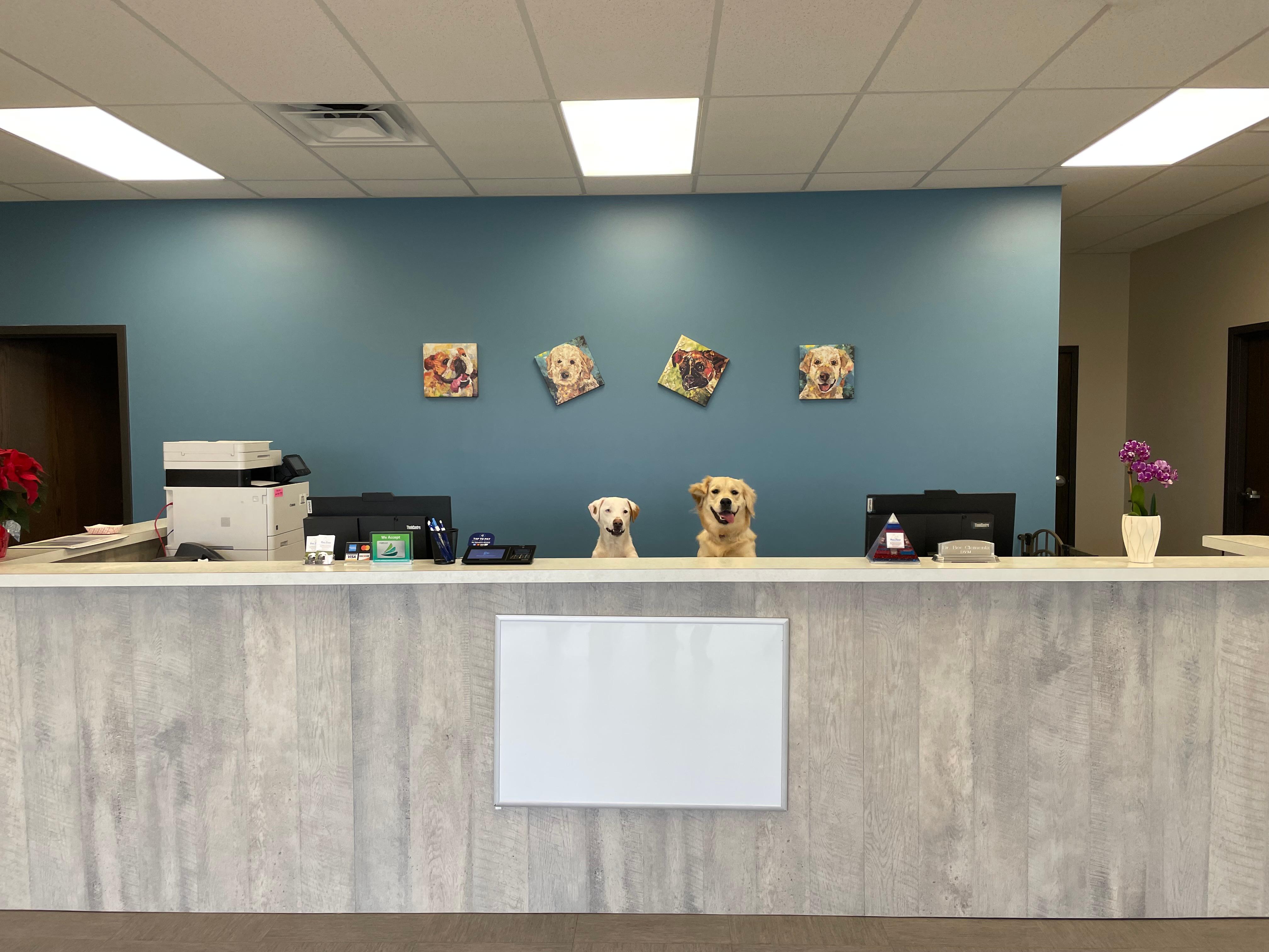 Front desk dogs of Pets First Veterinary Clinic