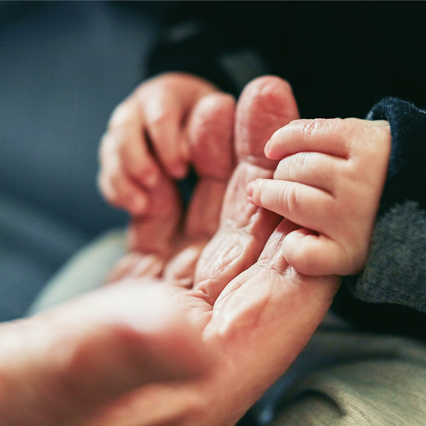 Close-up of a grandparent and grandchild holding hands.