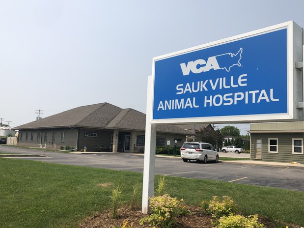 Images VCA Saukville Animal Hospital
