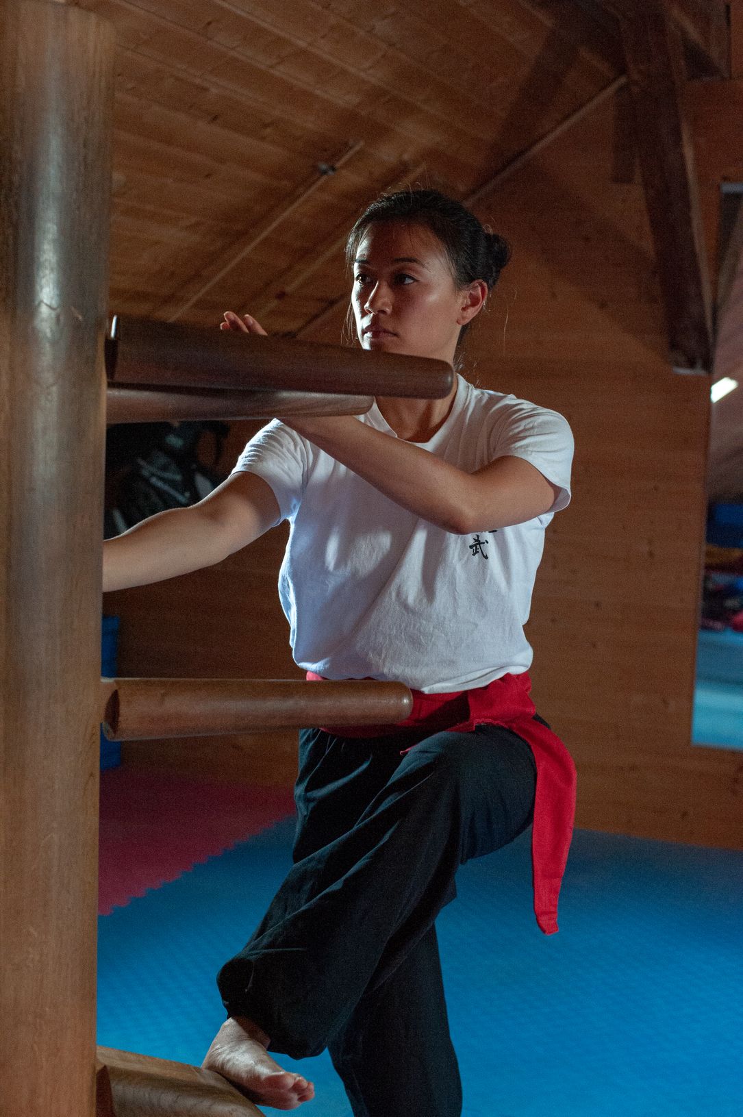 Bilder SUN WU Gongfu Schule Zürich