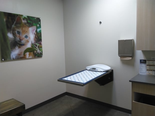 Images Vetco Total Care Animal Hospital