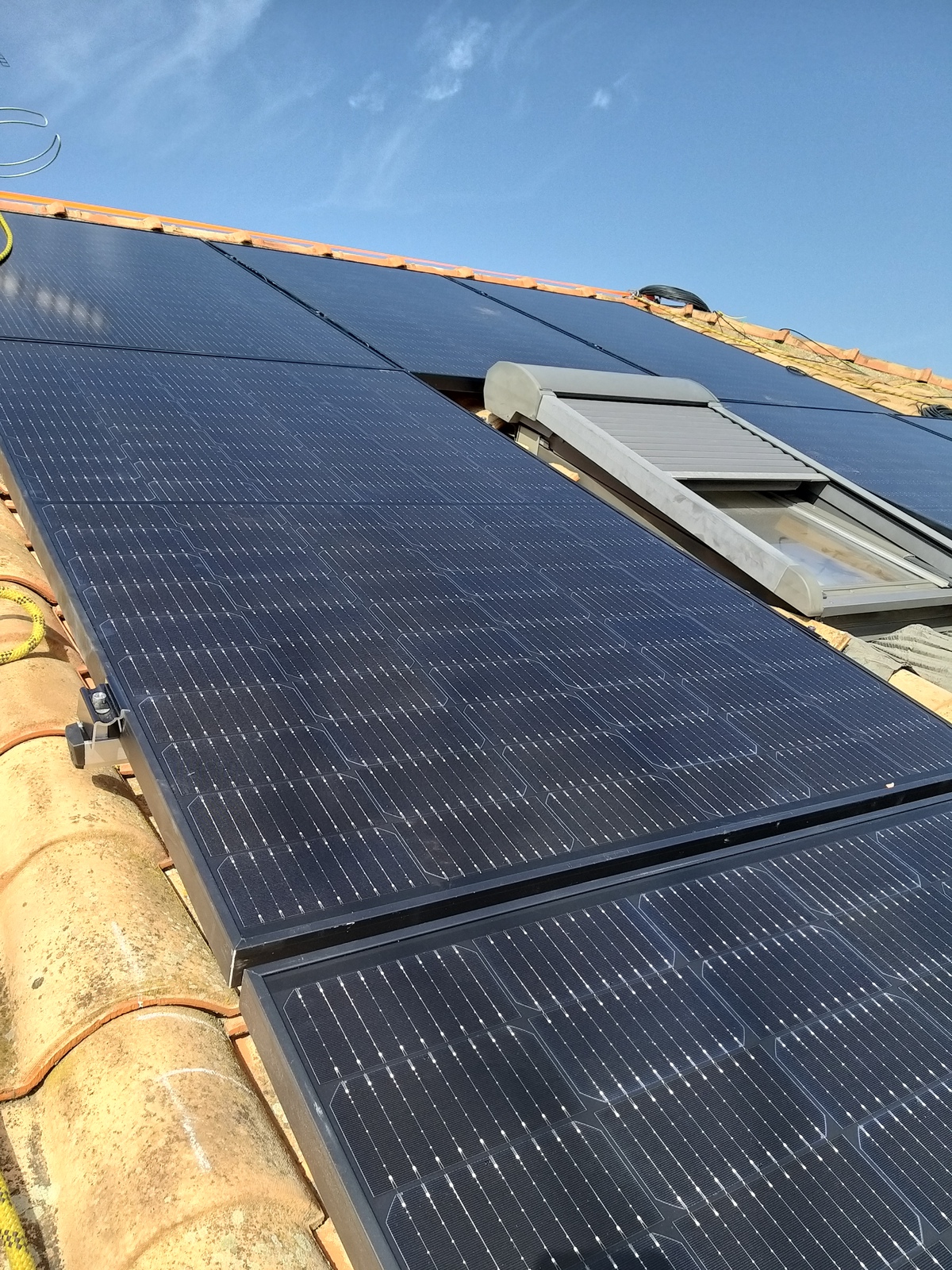 Images Telereid Digital