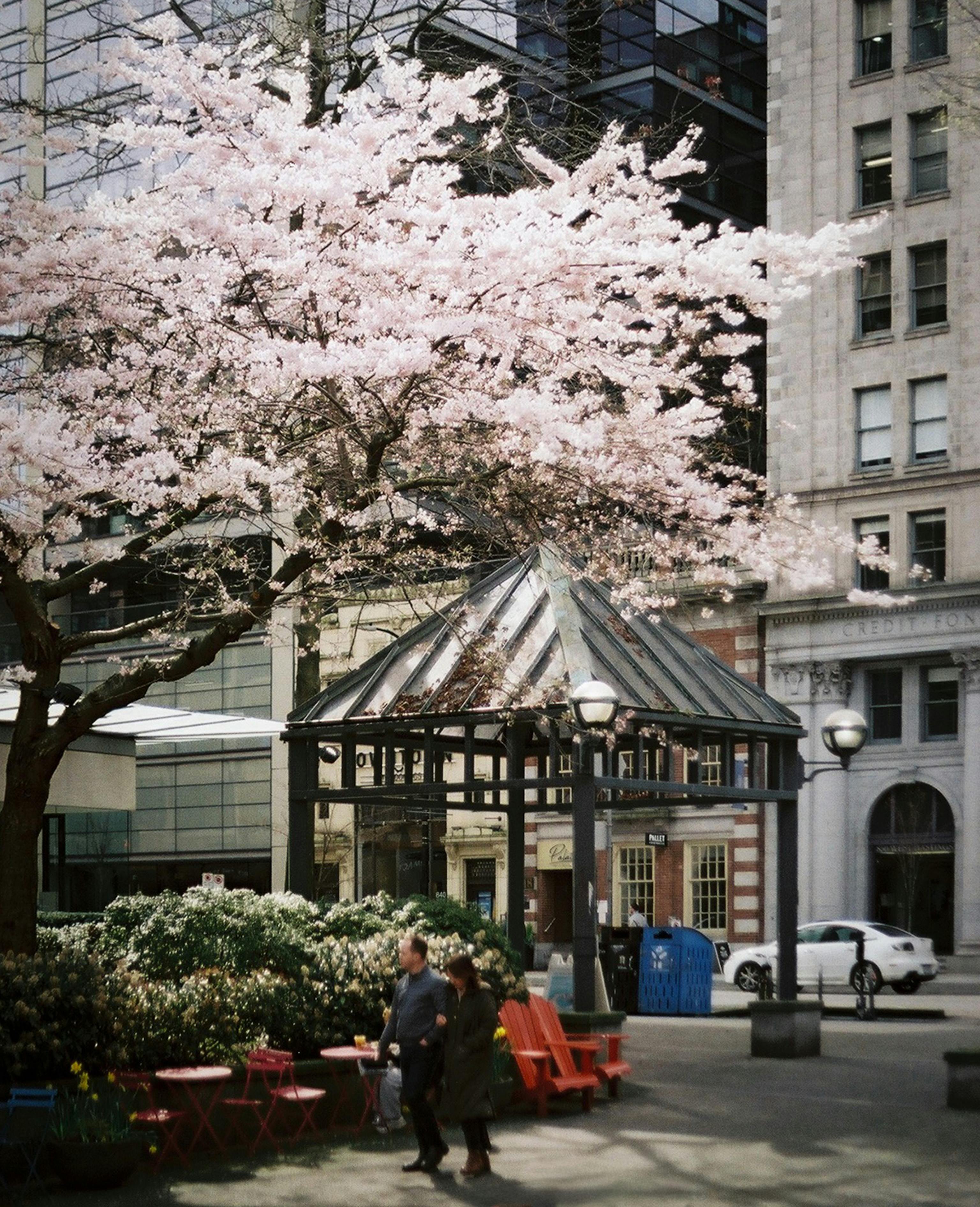 main blog image