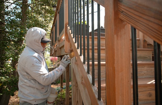 Images My Painter & Exteriors