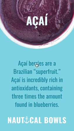 Images Nautical Bowls