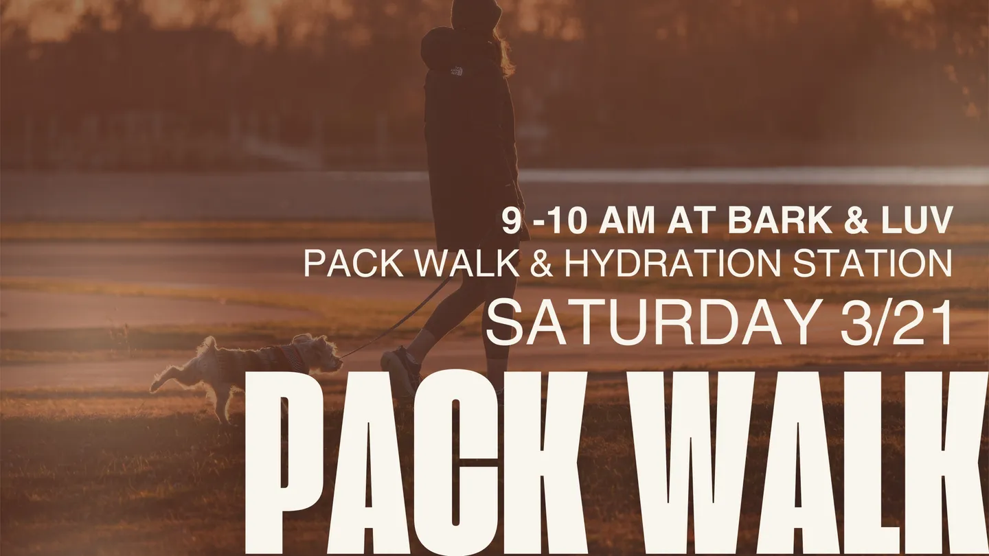 Image of Local Pet Event Pack Walk (9AM–10AM) + Hydration Station Nearby