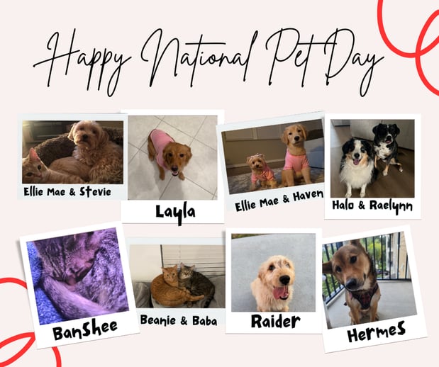 Images Brant Blessing  - State Farm Insurance Agent