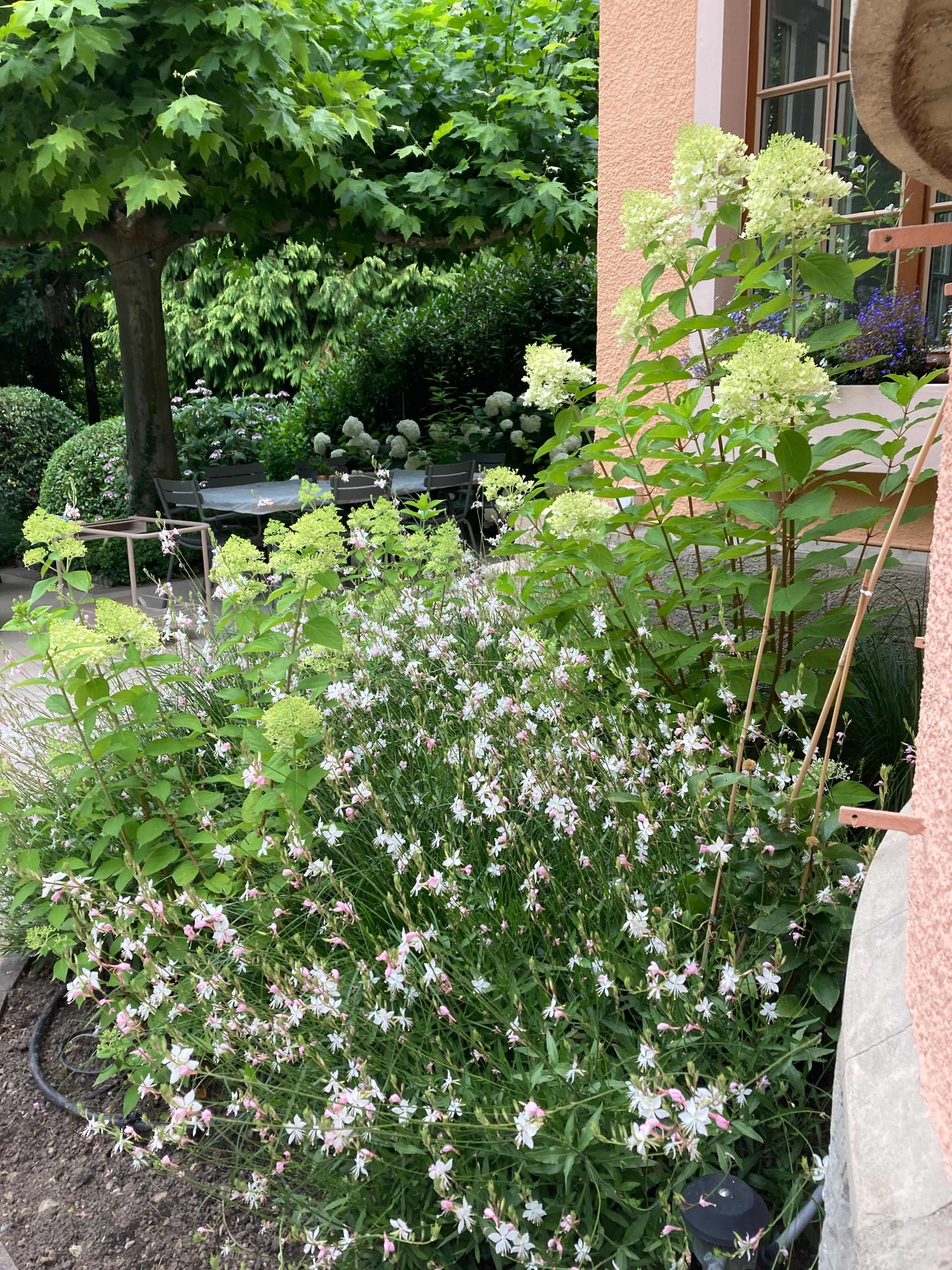 Bilder Royal Jardin sarl