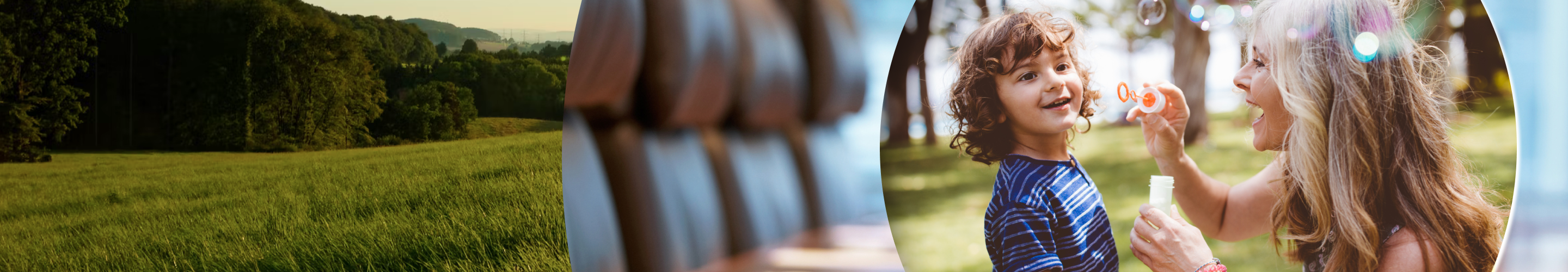 Collage featuring a lush field surrounded by trees, a row of seats, and a woman blowing bubbles with a child.