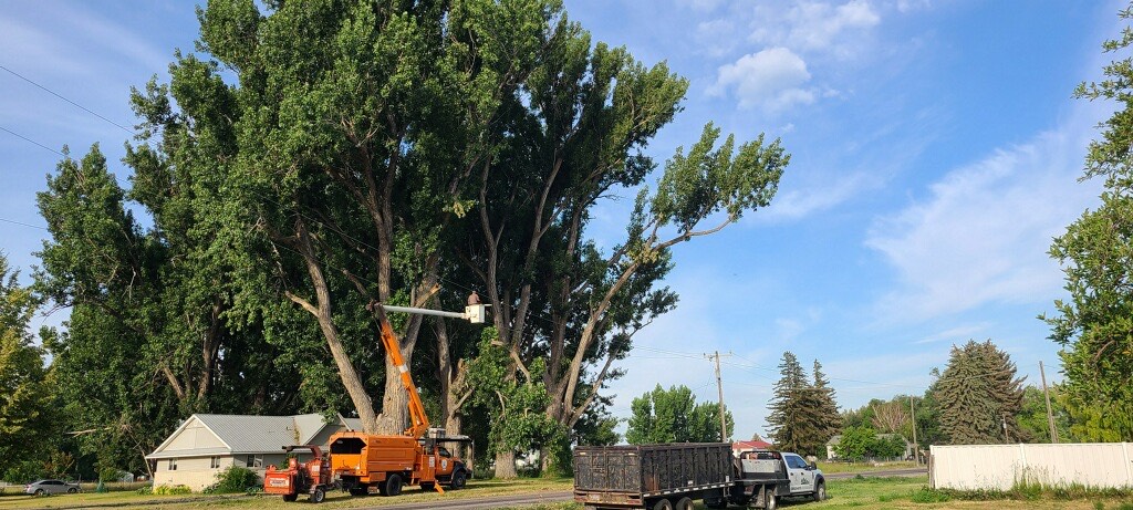 Garden Gate Nursery and Tree Service Image