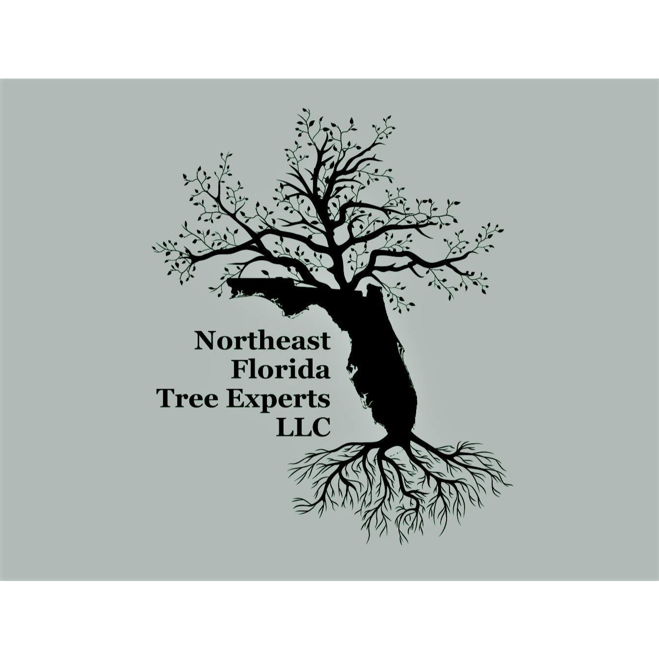 Northeast Florida Tree Experts LLC