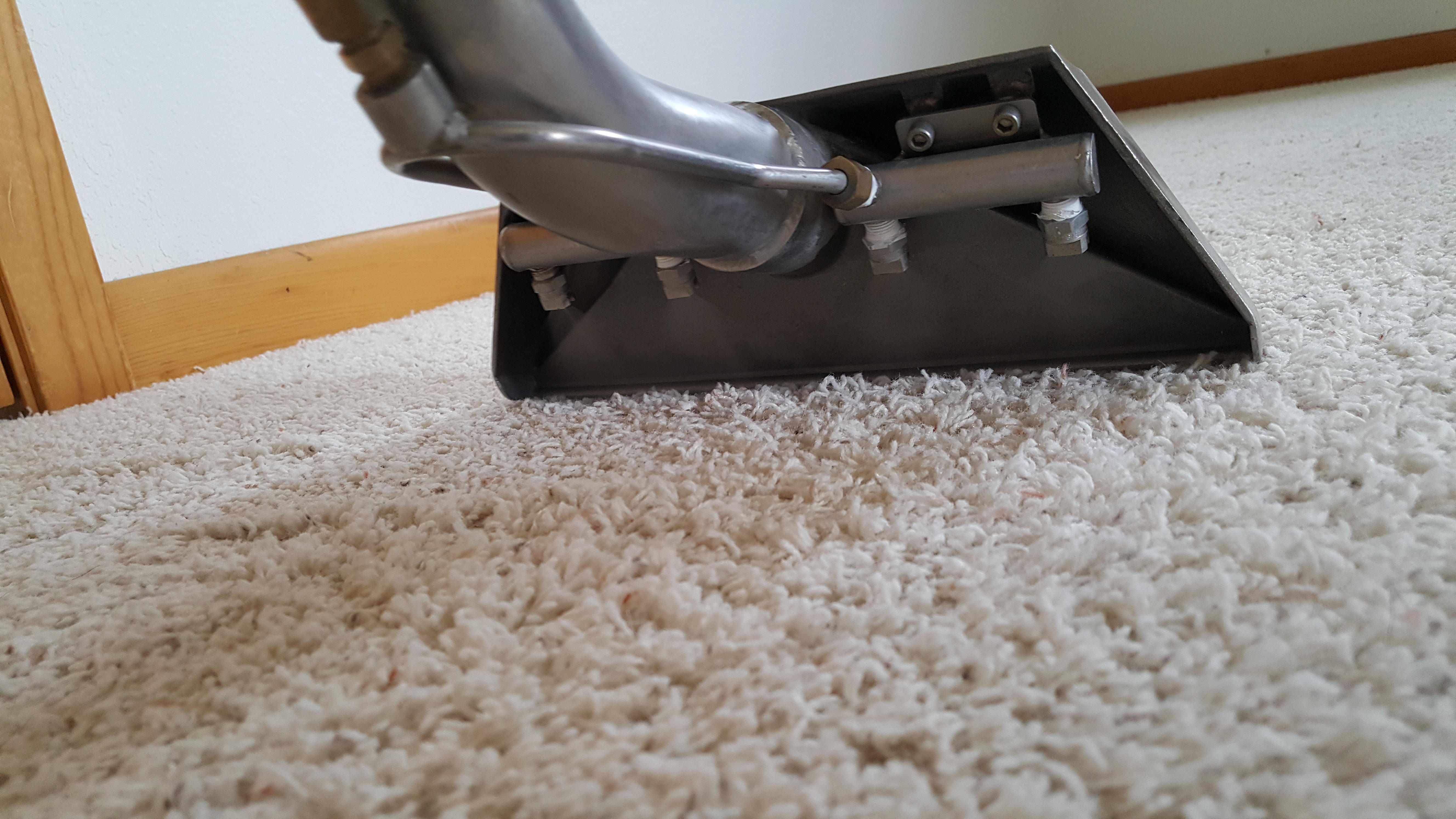 360 Steam Carpet Cleaning Photo