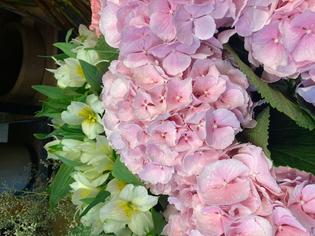 Bilder Fleur Evasion Sàrl