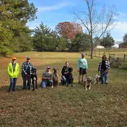 Sniffspot Yolistone Image