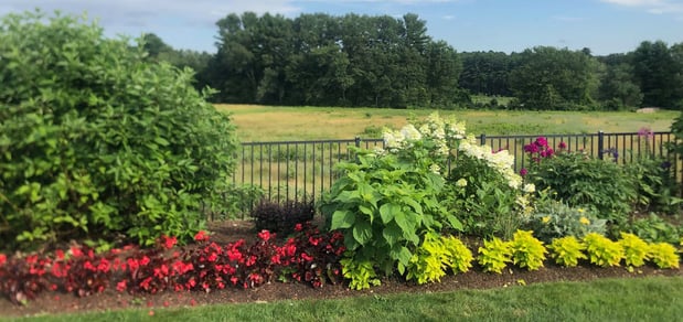 Images Greenleaf’s Garden Design