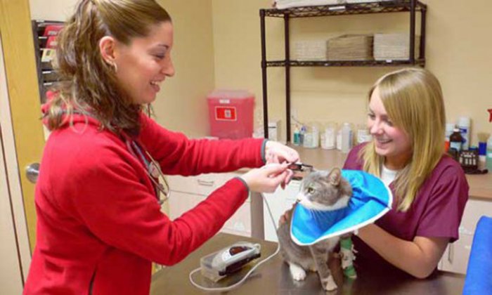 Images Katonah Bedford Veterinary Center