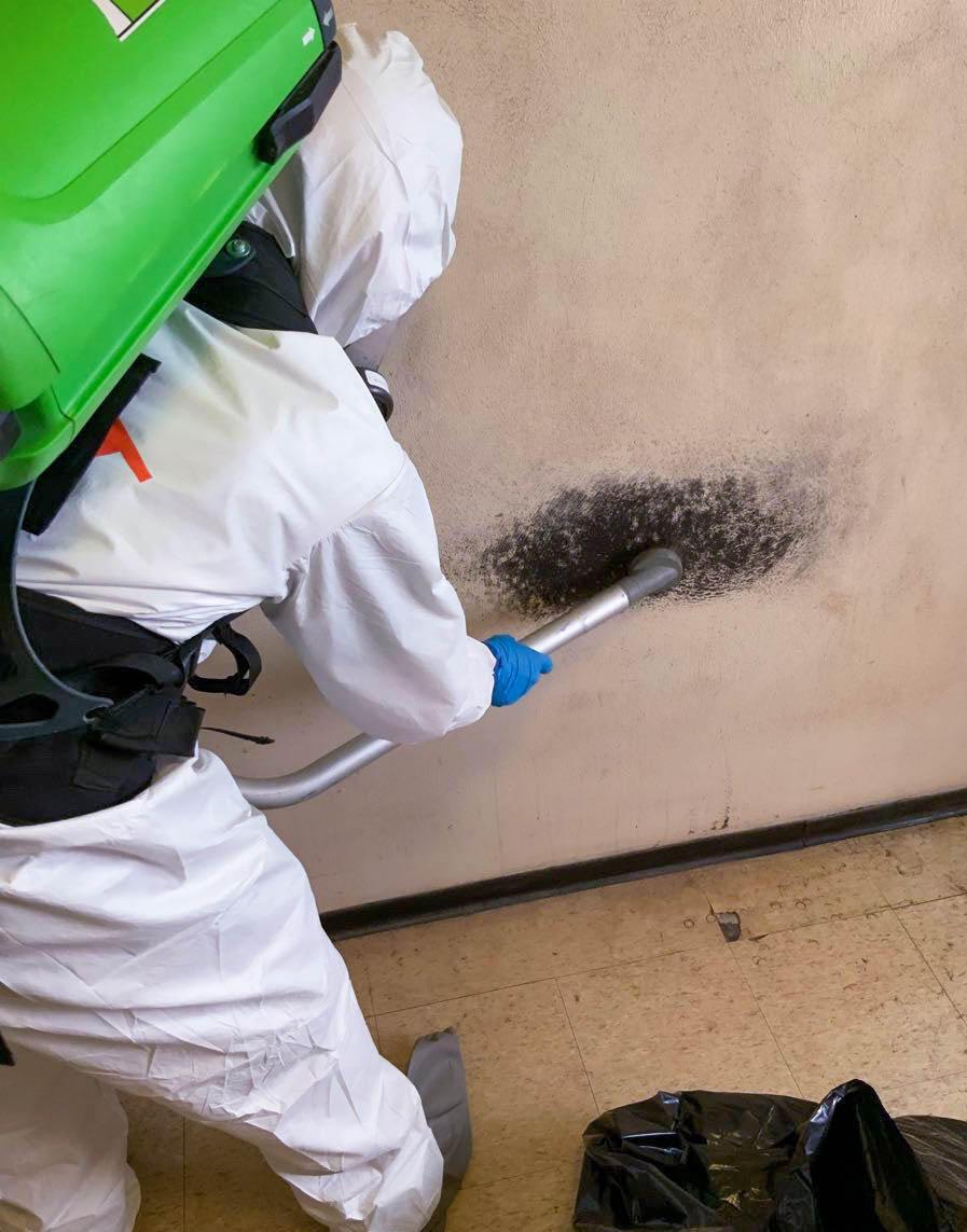 Excess moisture after a water event can lead to multiple secondary issues such as black mold and rot.  SERVPRO of Carthage/Joplin is your trusted local leader in water and mold restoration. Give us a call!