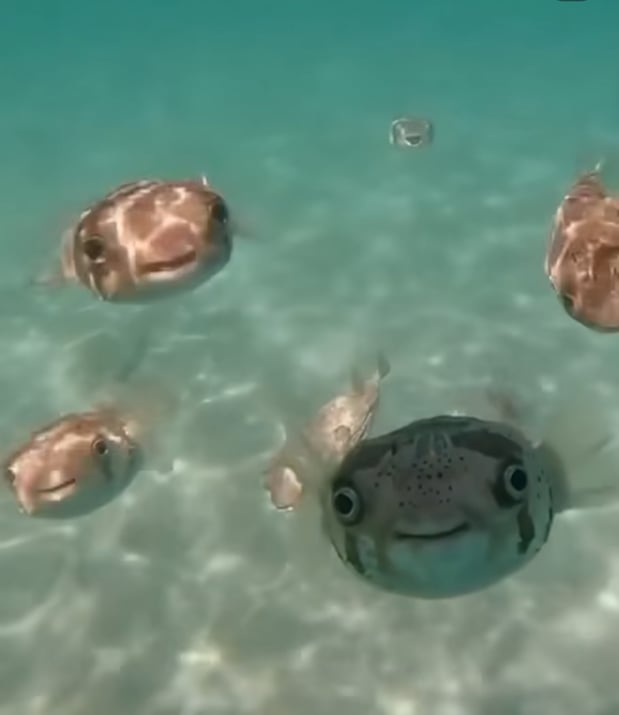 Images Sunkissed Med Spa