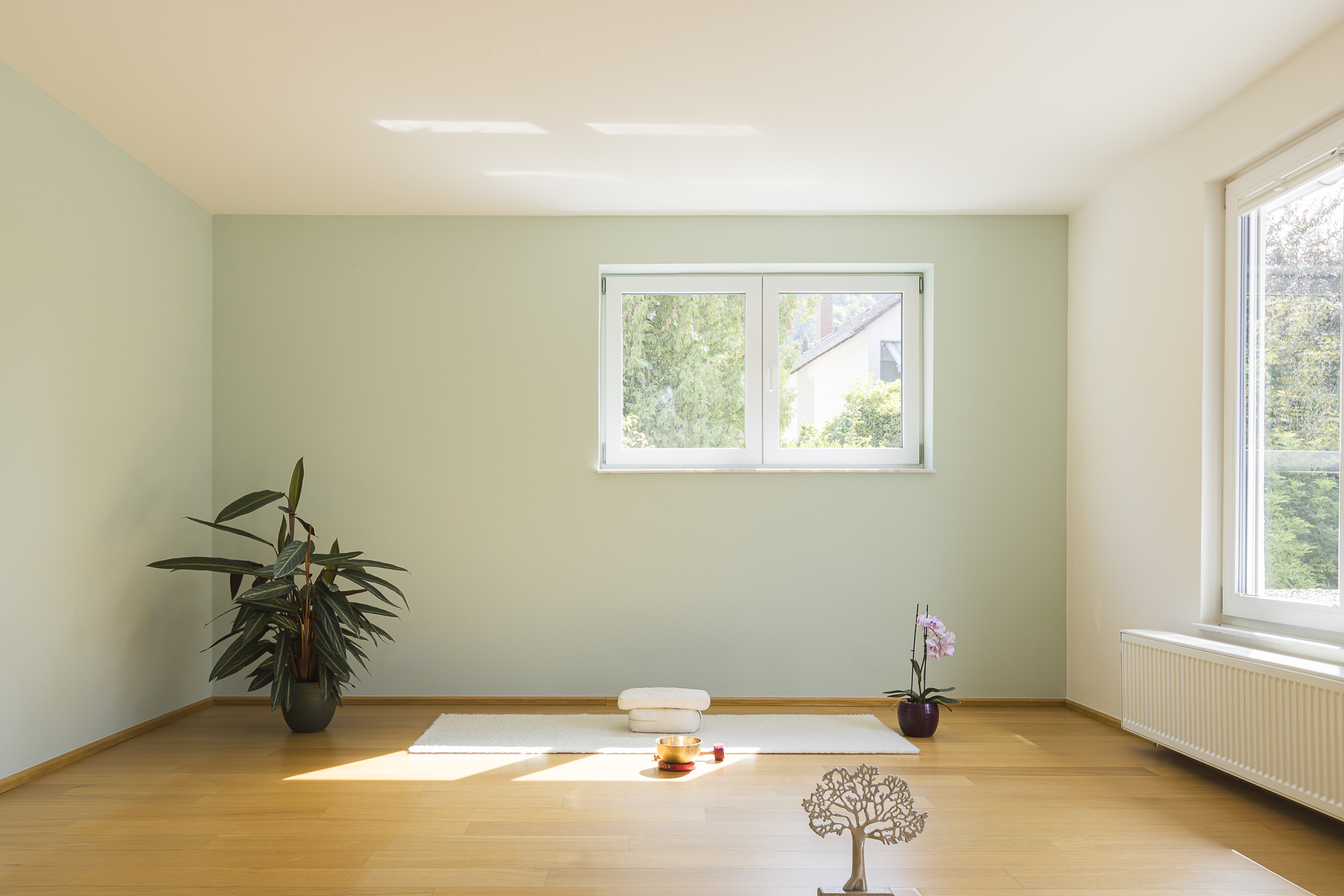 Julie Shimizu, Korngasse 20 in Dossenheim