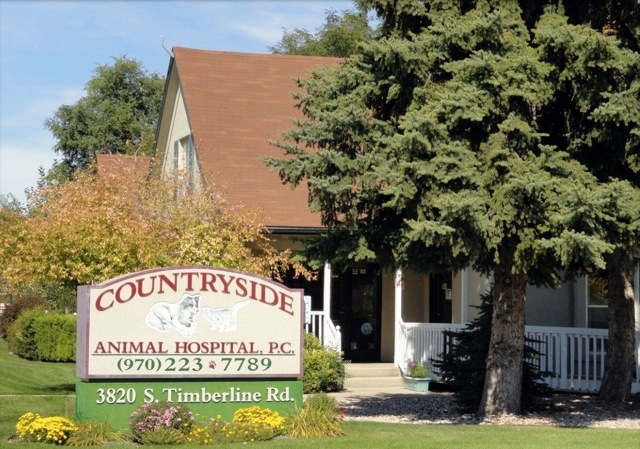 countryside animal hospital - countryside animal clinic deland