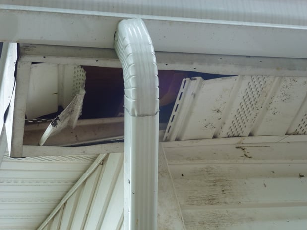 Images Loves Wildlife Removal and Pest Control