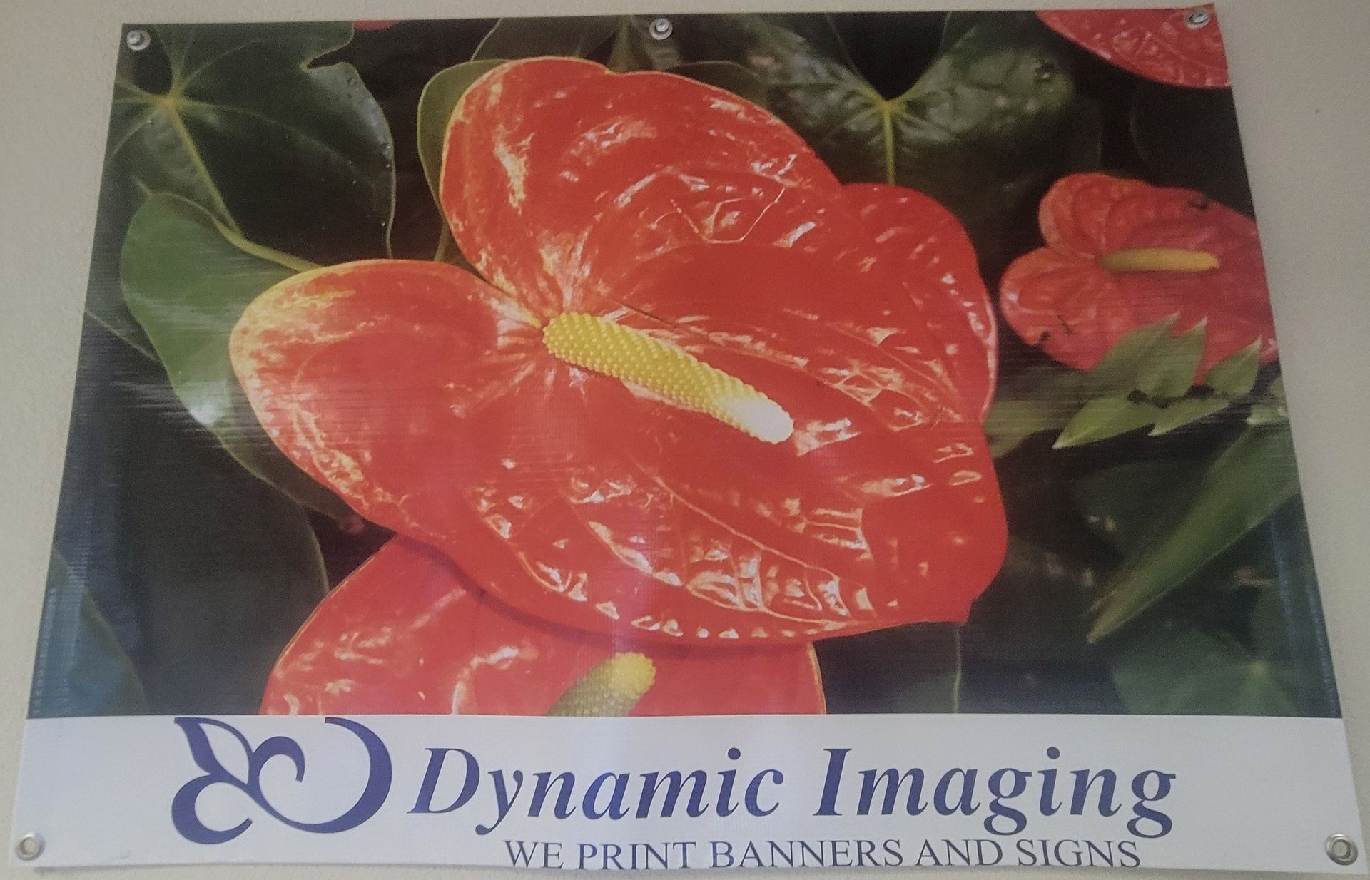 Dynamic Imaging Image