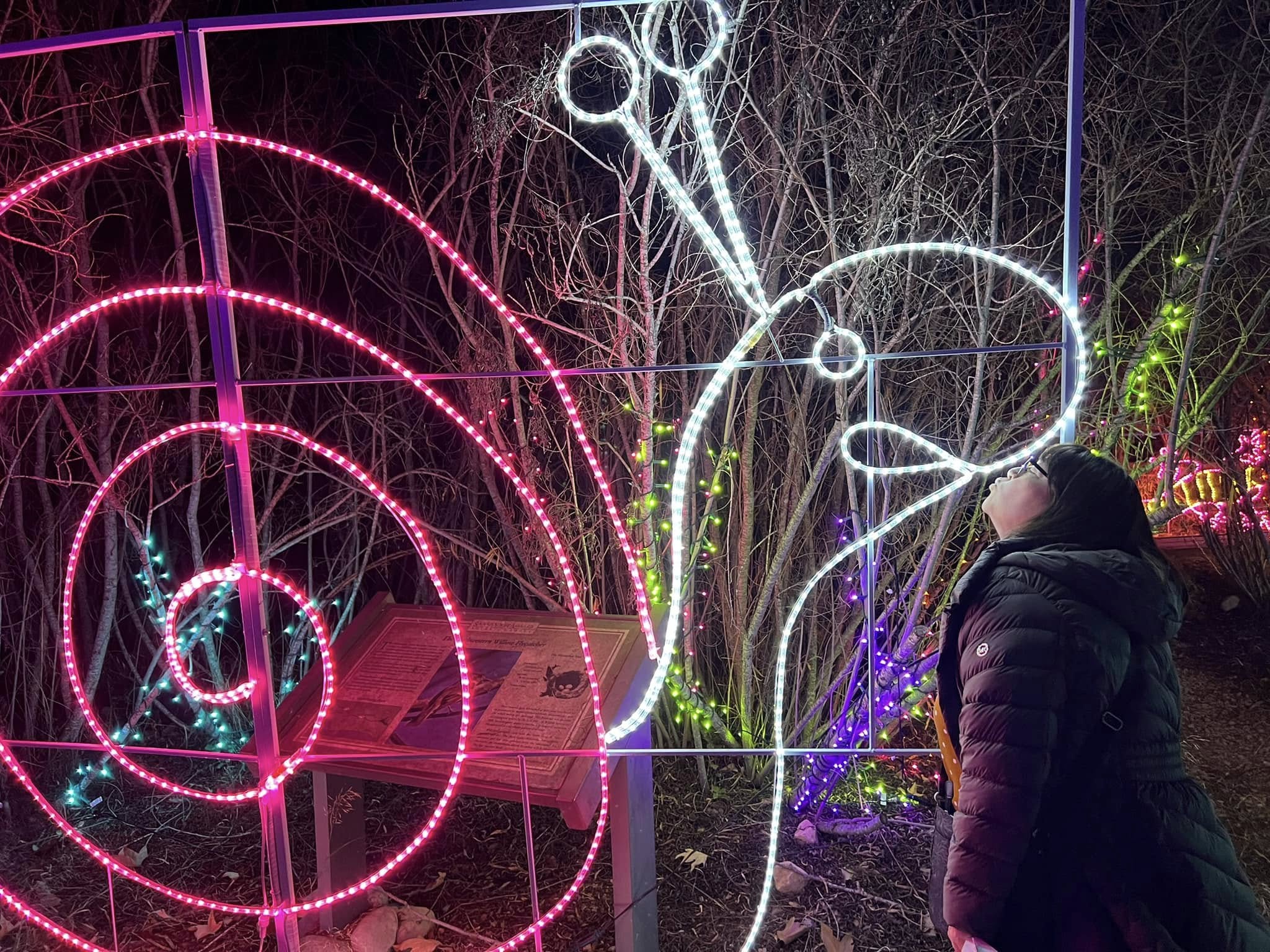 Julia Tipolt - State Farm Insurance Agent Image