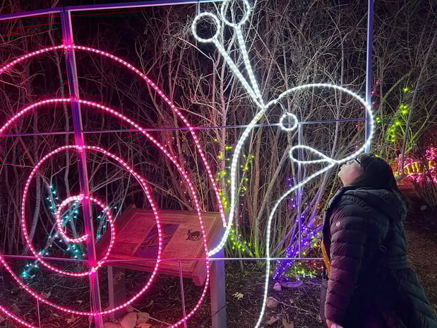 Images Julia Tipolt - State Farm Insurance Agent