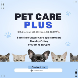 Images Pet Care Plus