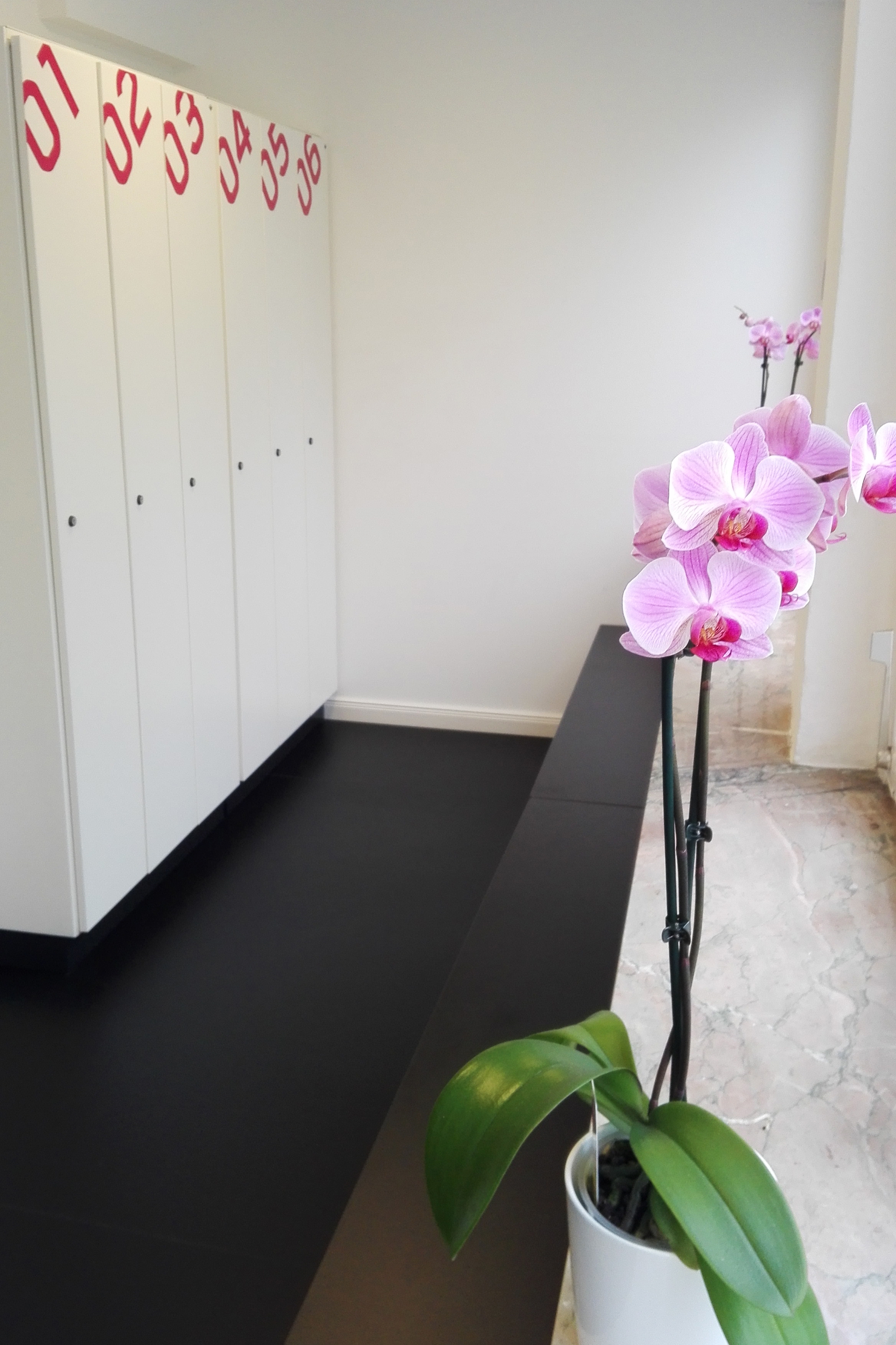 25MINUTES - Fuhlsbüttel, Ratsmühlendamm 21 in Hamburg