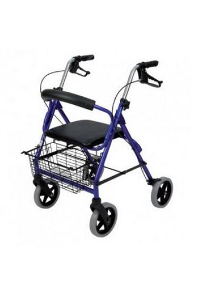 Images Ortopedia Zappia