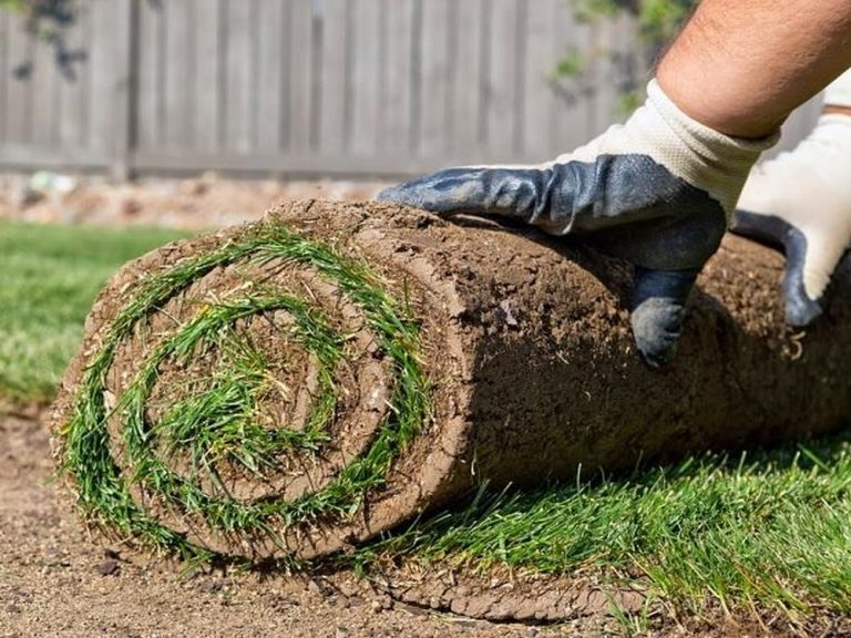 DMC Gardening and Tree Services 5