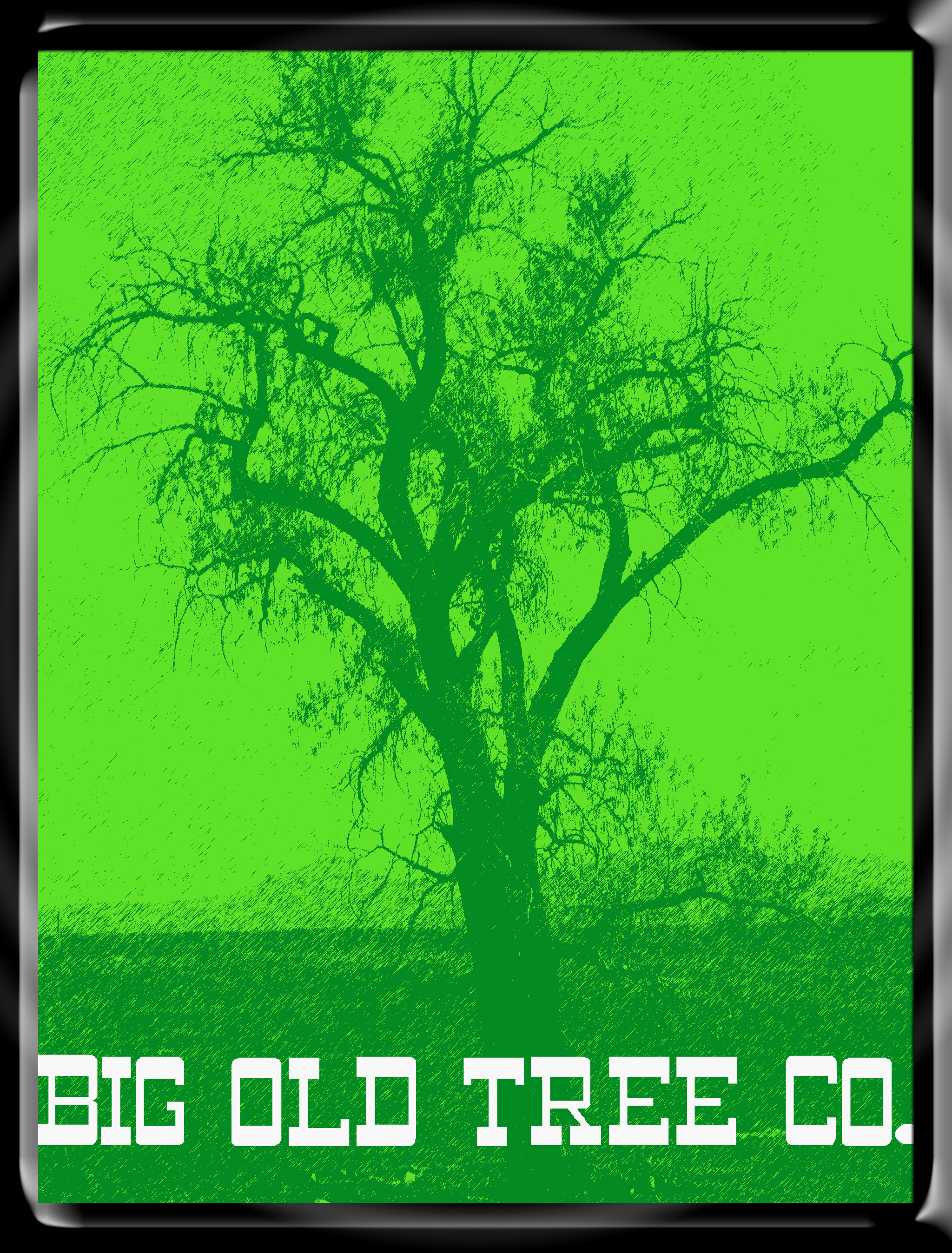 The Big Old Tree Company Llc