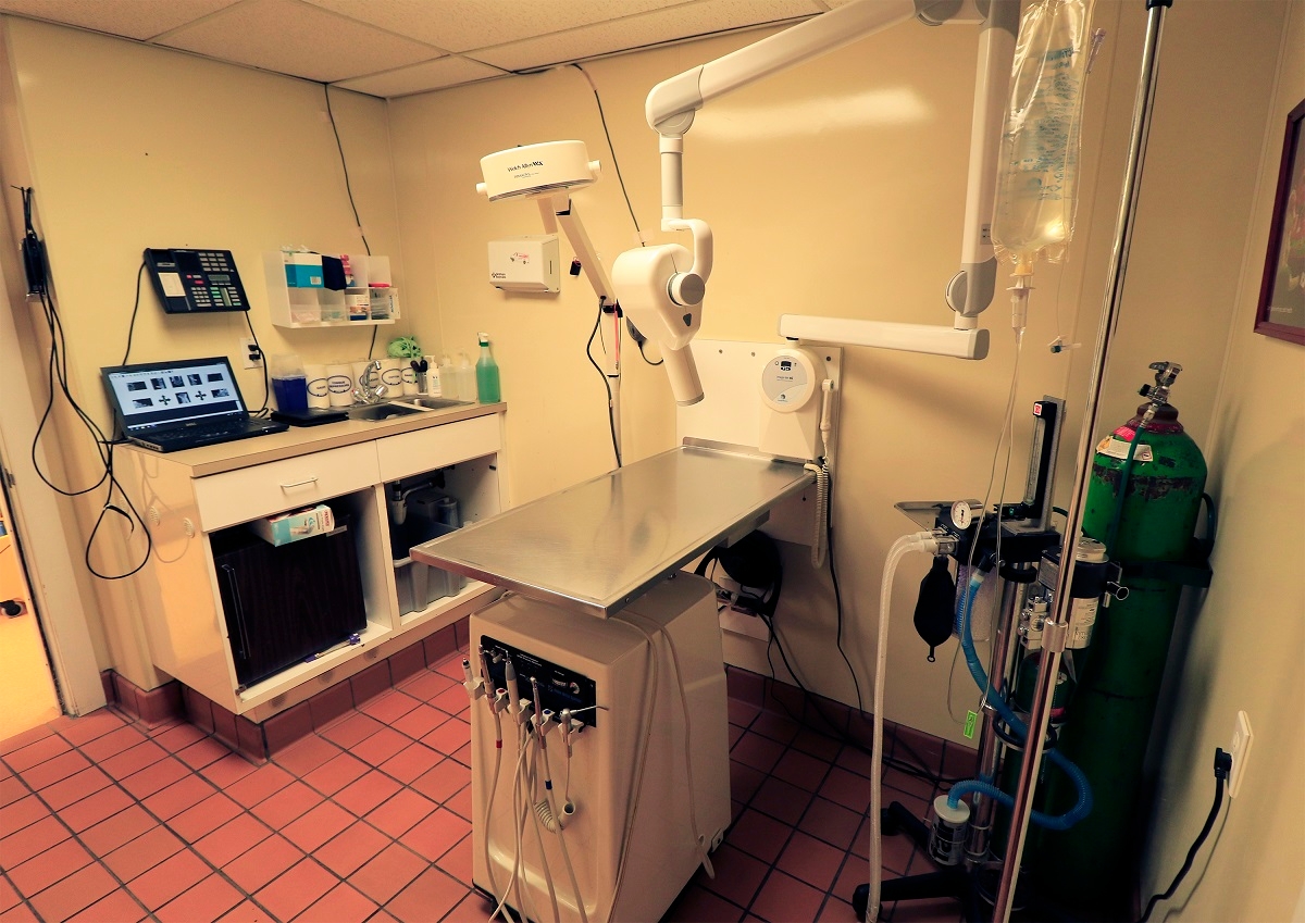 We are fully equipped with digital x-ray technology. This allows us to make a diagnosis faster!