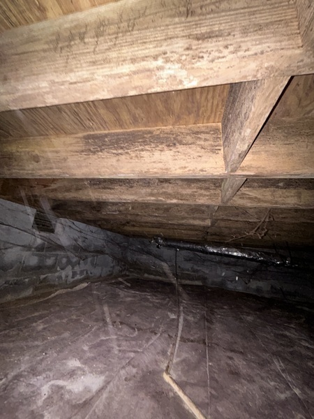 Images Ox Foundation Solutions