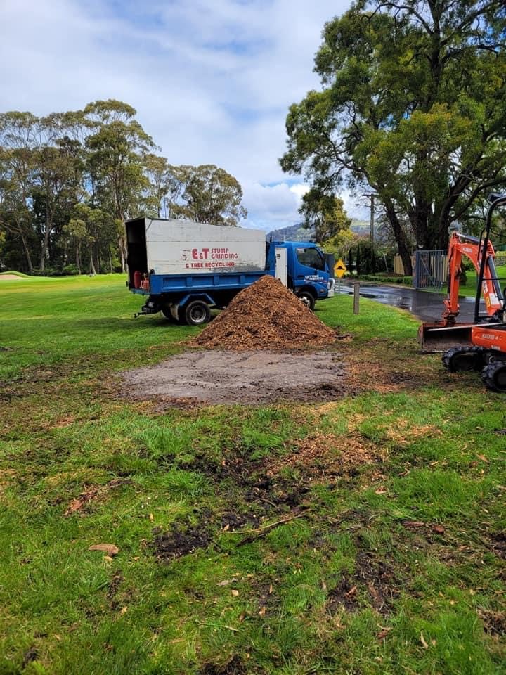 Images E&T Tree Services And Stump Grinding