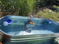 Stock Tank Fun & Country GmbH, Am Bahnhof 40 in Kevelaer